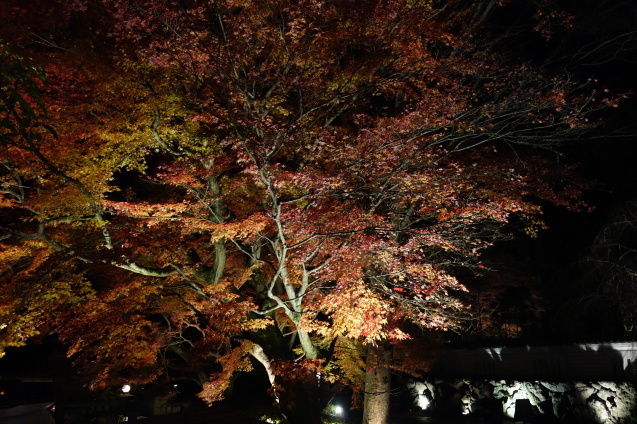 京都紅葉巡り ７ しょうざんリゾート 北庭 くう ねる あそぶ のホテル備忘録