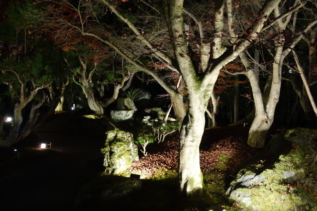 京都紅葉巡り ７ しょうざんリゾート 北庭 くう ねる あそぶ のホテル備忘録