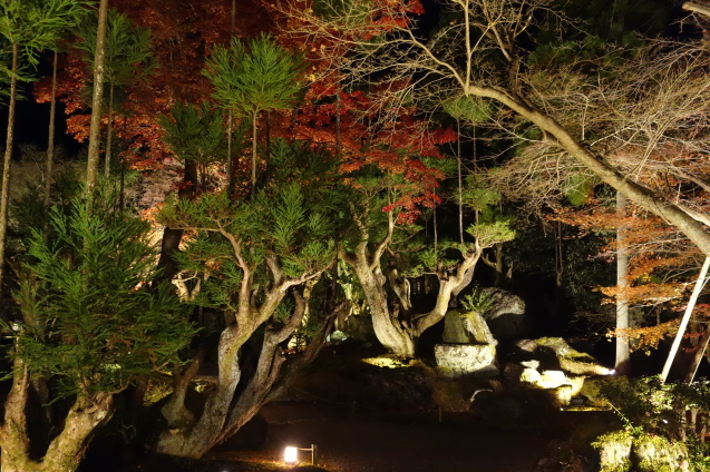 京都紅葉巡り ７ しょうざんリゾート 北庭 くう ねる あそぶ のホテル備忘録
