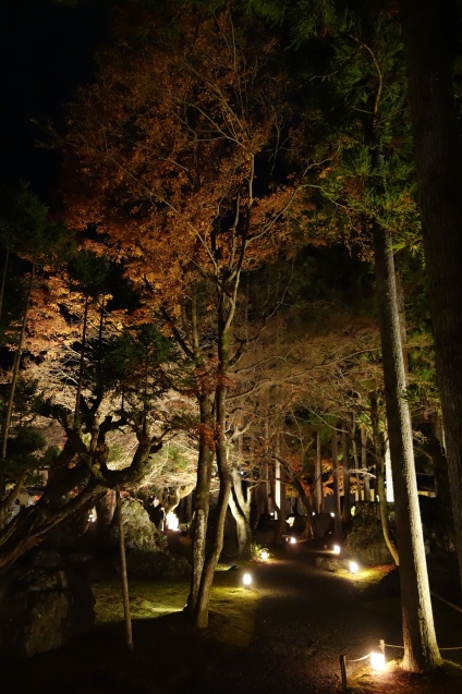 京都紅葉巡り ７ しょうざんリゾート 北庭 くう ねる あそぶ のホテル備忘録