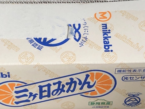 女川スペインタイルと蜜柑 秋田 蕗だより