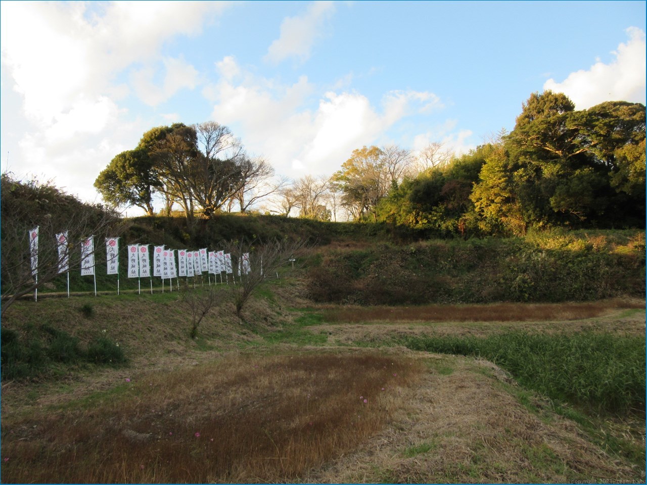 久野城を巡る歴史_c0376508_14024256.jpg
