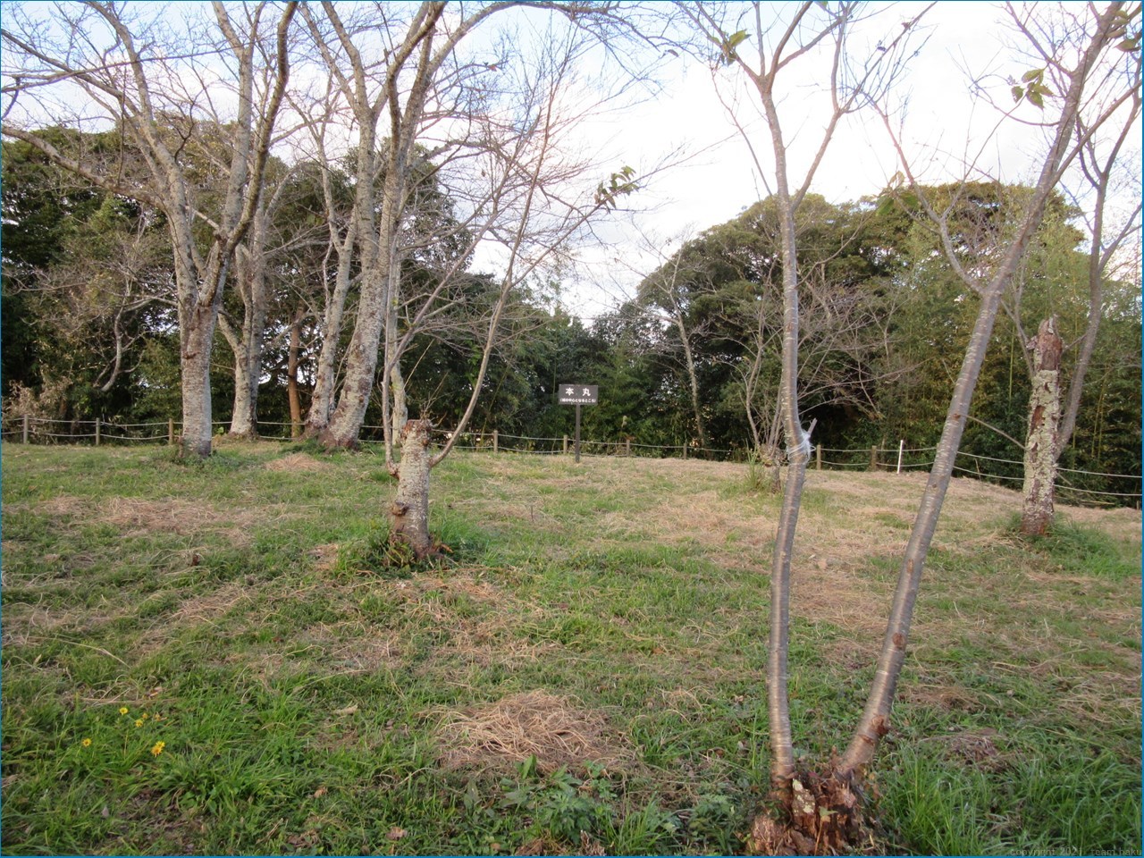 久野城を巡る歴史_c0376508_14025984.jpg