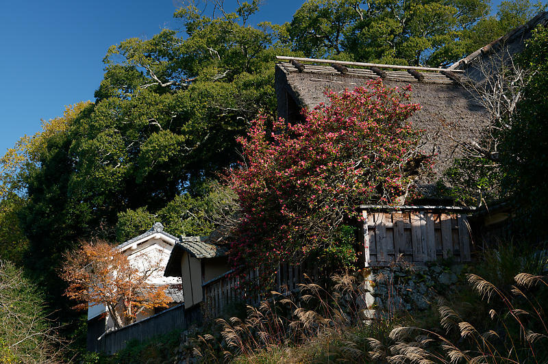 2021年京都の紅葉@越畑 河原家住宅_f0032011_20063657.jpg