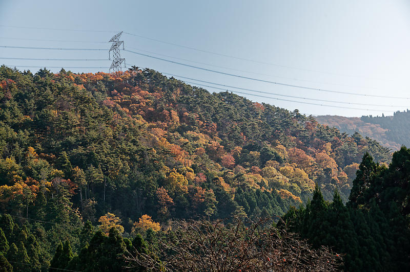 2021年京都の紅葉@越畑 河原家住宅_f0032011_20063760.jpg