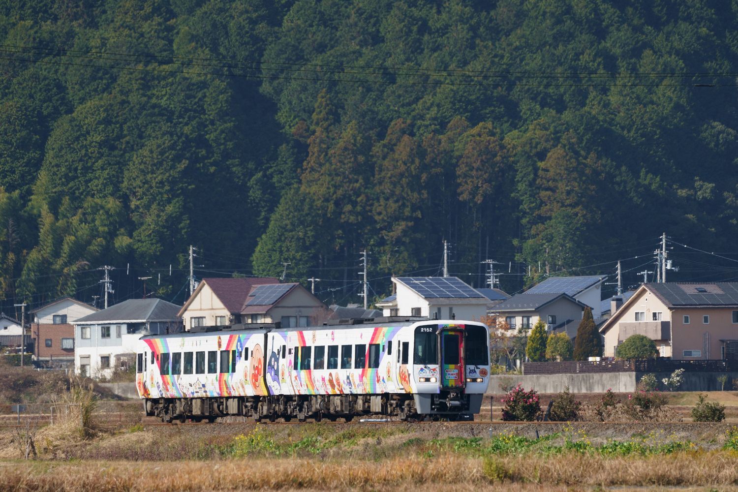 予讃線 下り特急宇和海11号 双岩駅 伊予石城駅間 アンパンマン列車 南風 しまんと 剣山 ちょこっと