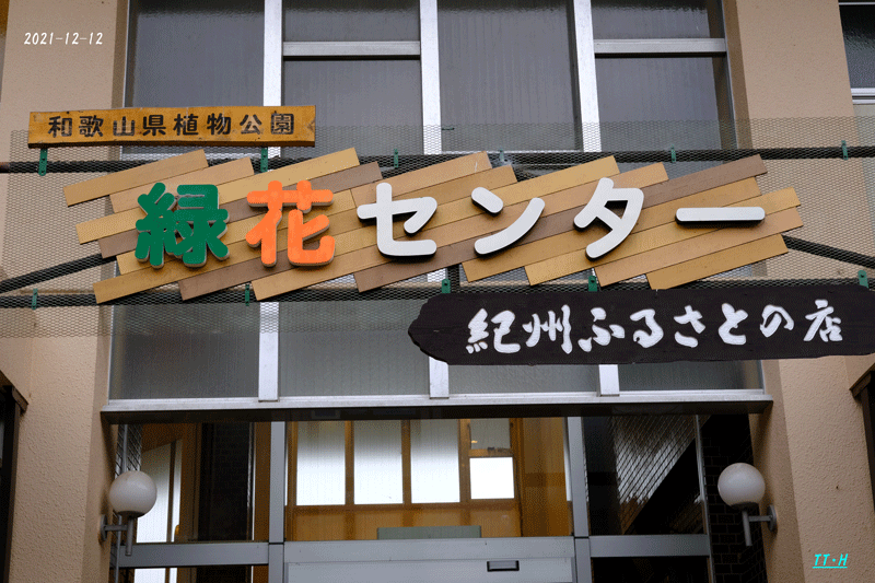 和歌山県植物公園緑化センターにて 日本全国くるま旅