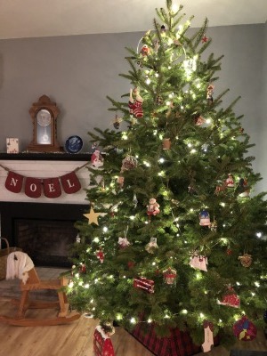 今年のクリスマスツリー_c0353373_03471336.jpg