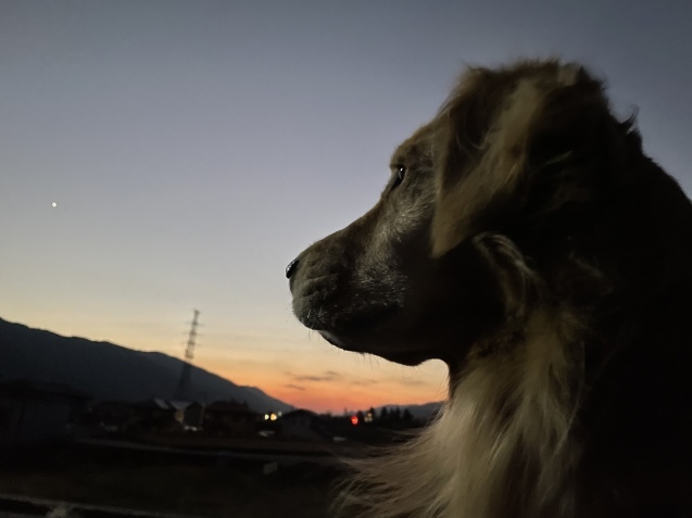 勇気の夕方。_a0394574_20280146.jpeg