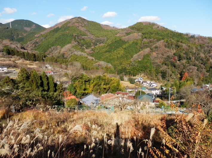 唐沢林道ＤＮＳ、それで三廻目峠・秦野峠・尺里峠・江の島まで_b0334084_21355466.jpg