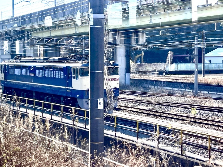 帰りました!_c0212604_21044978.jpeg