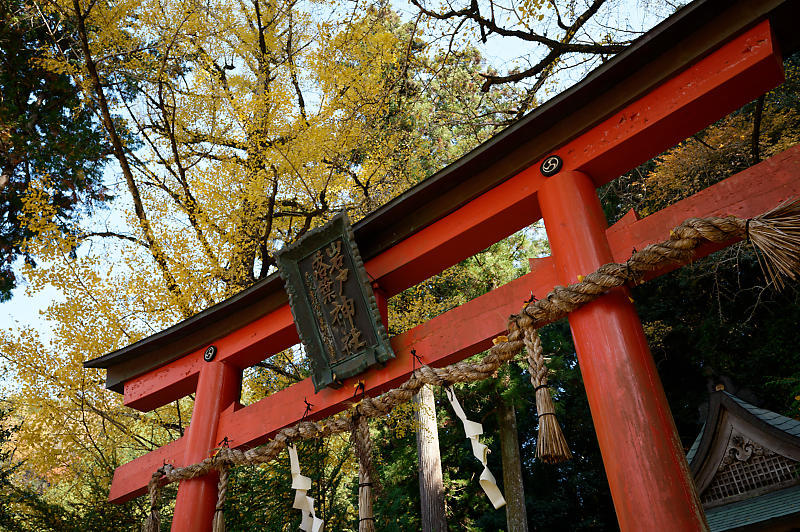2021年京都の紅葉@小野郷 岩戸落葉神社_f0032011_21183985.jpg