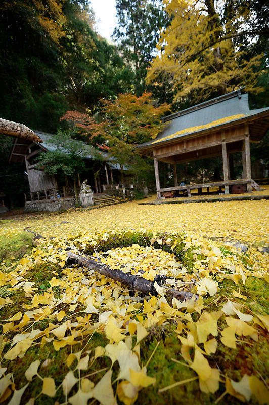 2021年京都の紅葉@小野郷 岩戸落葉神社_f0032011_21205639.jpg