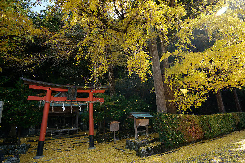 2021年京都の紅葉@小野郷 岩戸落葉神社_f0032011_21205679.jpg