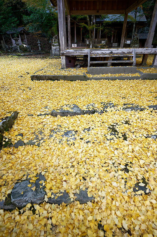 2021年京都の紅葉@小野郷 岩戸落葉神社_f0032011_21214513.jpg