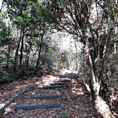 里山ウォーキング_f0129726_18025223.jpg
