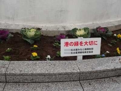 名古屋港水族館前花壇の植栽R3.12.8_d0338682_17270019.jpg