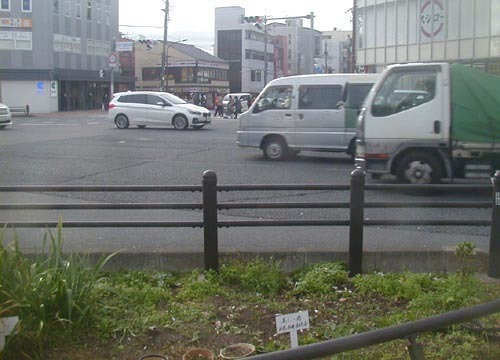 ●「交差点 歩道に花壇 珍しや 菊に聞きたし 誰と話した」_d0053294_13435944.jpg