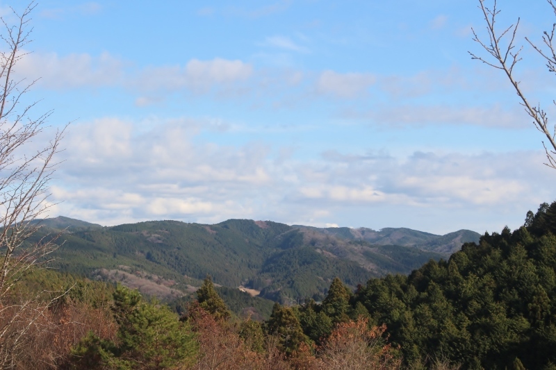 トリプル下山、そして紅茶_b0220318_08363496.jpg