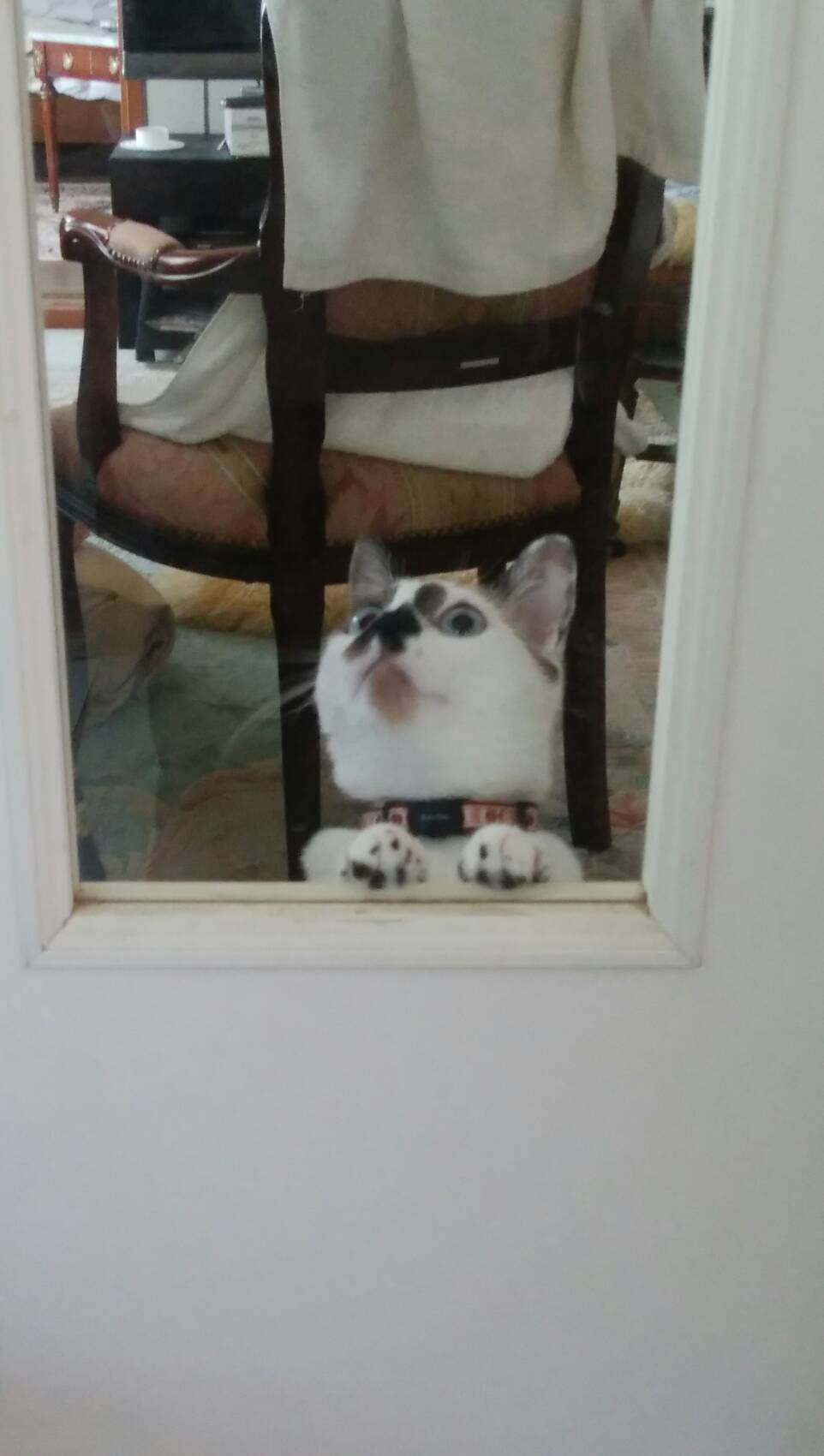 守ってあげたい_c0155326_21471938.jpg