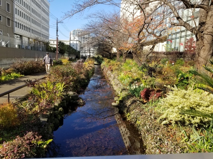 助かったかな_e0016828_11204866.jpg