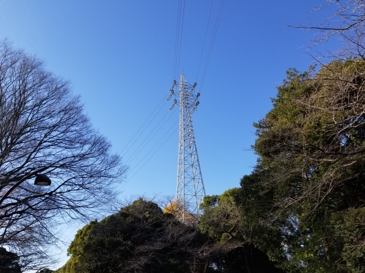 助かったかな_e0016828_11245294.jpg