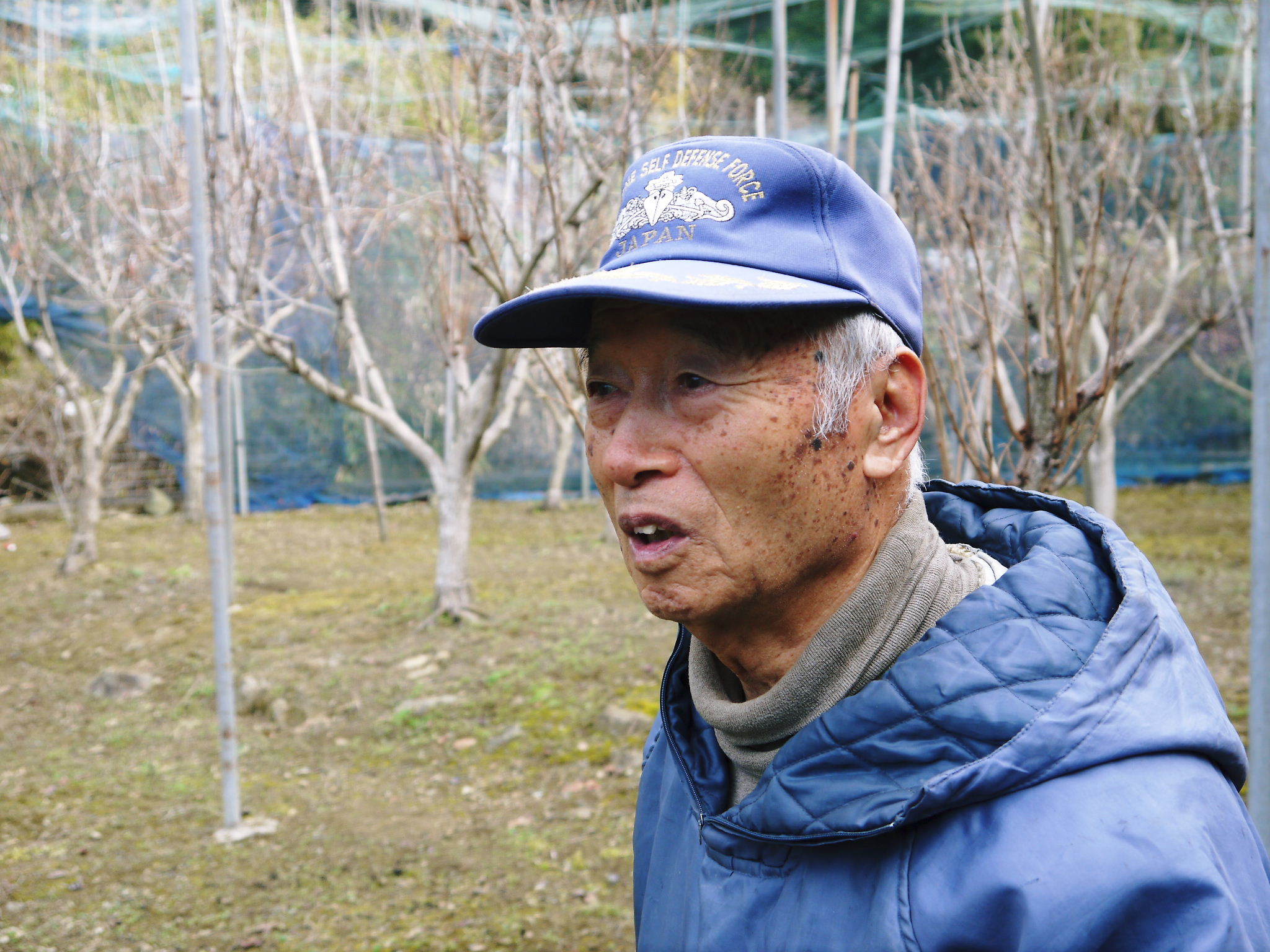 太秋柿 令和3年の冬の様子 今年も収穫を終えた果樹園の落ち葉を徹底して集め病気や害虫を防ぎます _a0254656_17552360.jpg
