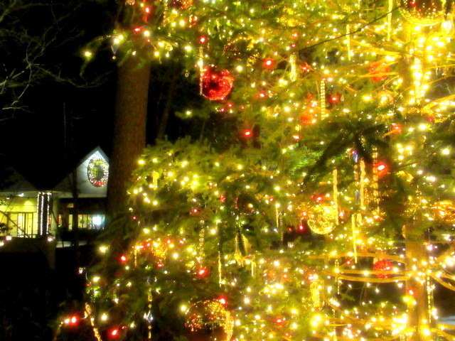軽井沢高原教会100周年 ＊ 星降る森のクリスマス・2021☆彡_f0236260_20544689.jpg