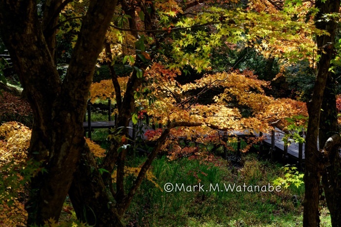 用作公園-3_e0135098_01252331.jpg