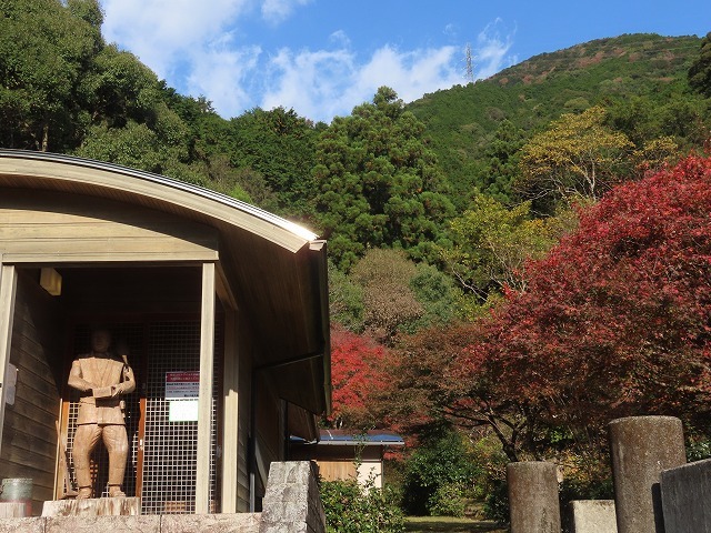 種まき権兵衛の里紅葉 その1 撮影 11月26日 新 たもつの 趣味悠々