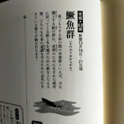 211216 七十二候第六十三候「鱖魚群(さけのうおむらがる)」_f0164842_10362161.png