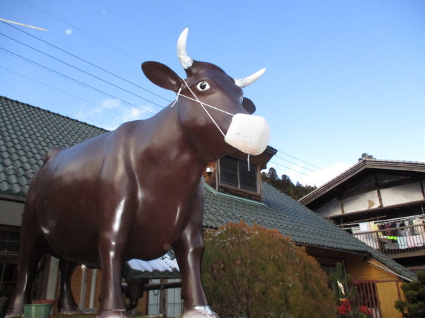 今シーズン初雪_c0194003_13514646.jpg