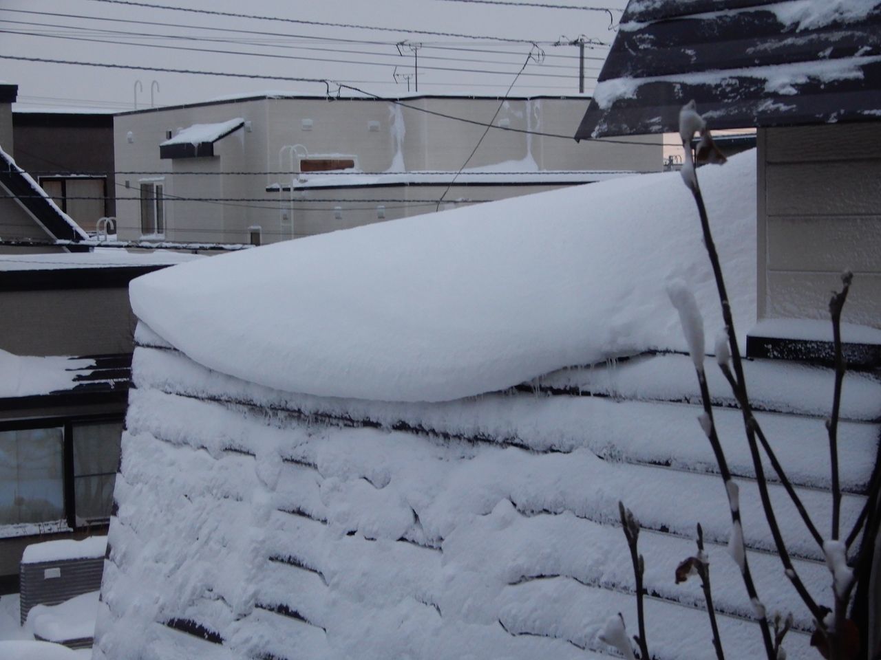 いきなり降りました_c0025115_21281605.jpg