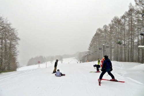 Mt.乗鞍スノーリゾートに雪が降り積もりました！！_a0353718_14012872.jpg