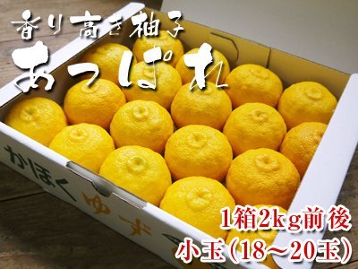 香り高き柚子『あっぱれ大玉』再入荷!『冬至用柚子』ラストチャンス!柚子湯と幸運をもたらす「ん」のお話 _a0254656_18405068.jpg