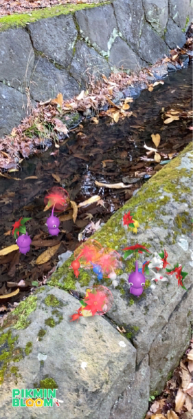 ピクミンブルームのコミュニティデイイベントで ポインセチアのバッチもらったよ あれも食べたい これも食べたい ｅｘ