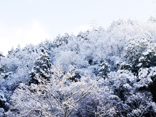 初雪～☆_e0167795_15015368.jpg