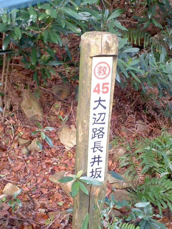 熊野古道大辺路（完結篇）_b0109511_18501585.jpg