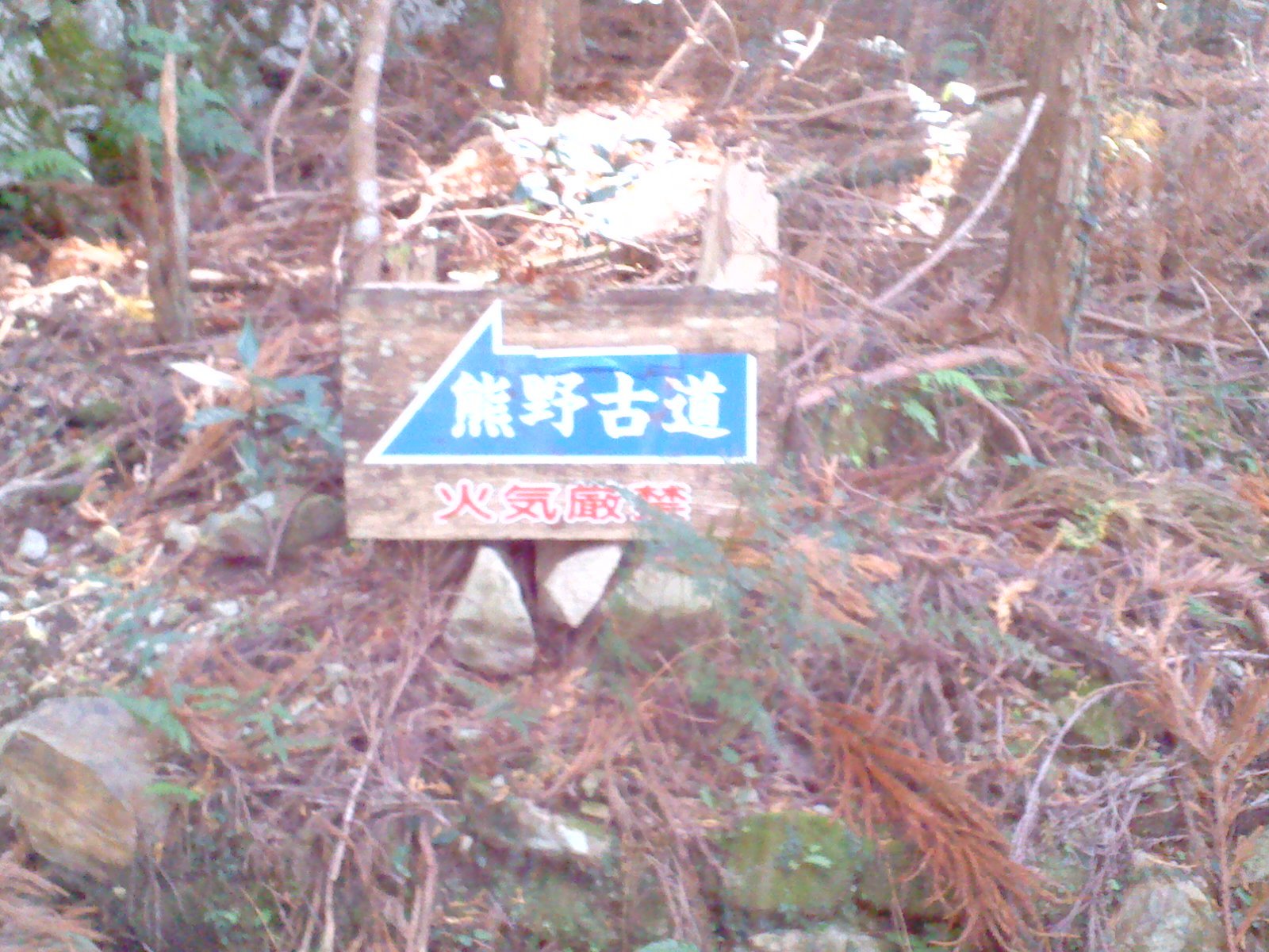 熊野古道大辺路（完結篇）_b0109511_18511300.jpg