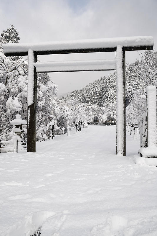 朧月　雪景色 2021年京都の雪景色 初雪景色＠日吉 多治神社 : デジタルな