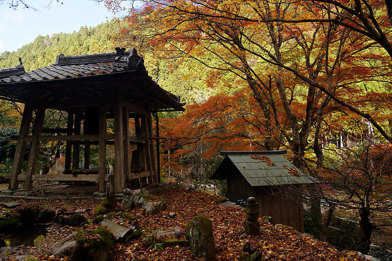 2021年京都の紅葉@杉坂 地蔵院_f0032011_17455038.jpg