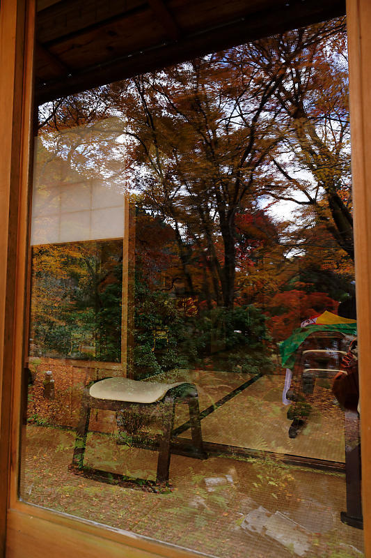 2021年京都の紅葉@杉坂 地蔵院_f0032011_17455050.jpg
