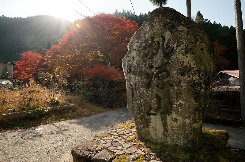 2021年京都の紅葉@杉坂 地蔵院_f0032011_17455137.jpg