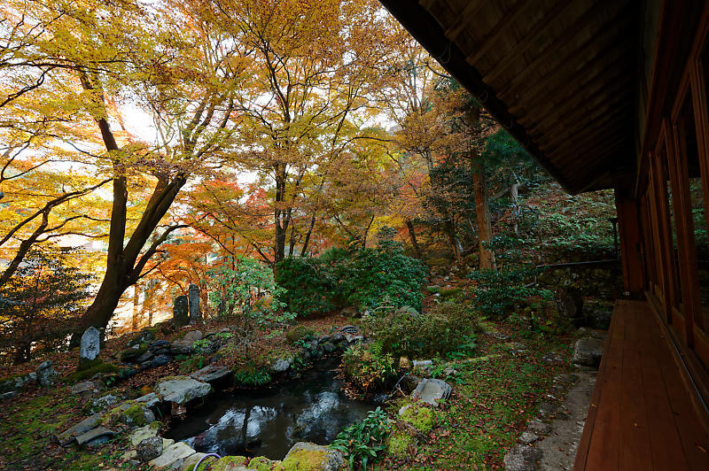 2021年京都の紅葉@杉坂 地蔵院_f0032011_17465574.jpg