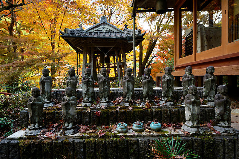 2021年京都の紅葉@杉坂 地蔵院_f0032011_17465613.jpg