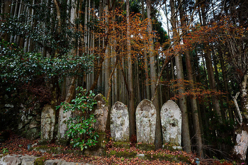 2021年京都の紅葉@杉坂 地蔵院_f0032011_17465627.jpg