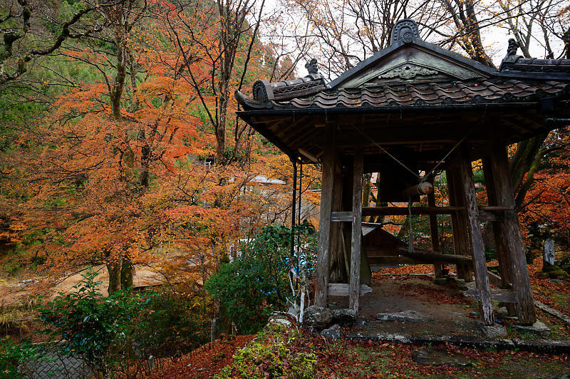 2021年京都の紅葉@杉坂 地蔵院_f0032011_17480101.jpg