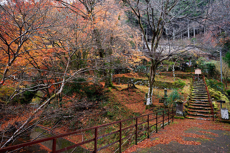 2021年京都の紅葉@杉坂 地蔵院_f0032011_17480127.jpg