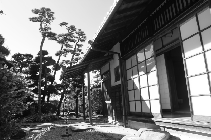 高岡茶席 紅茶の会 ご案内_b0220318_11371667.jpg
