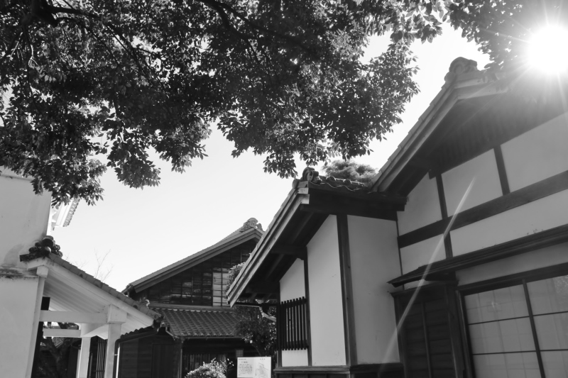 高岡茶席 紅茶の会 ご案内_b0220318_11372216.jpg